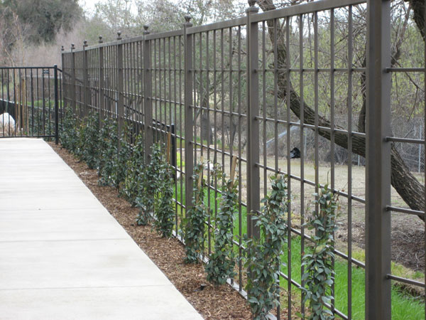 Residential Wrought Iron Fence San Diego 