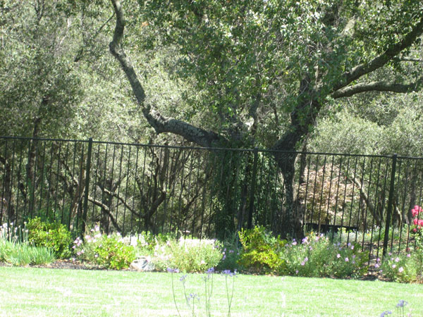 Iron Side Yard Fence San Diego 