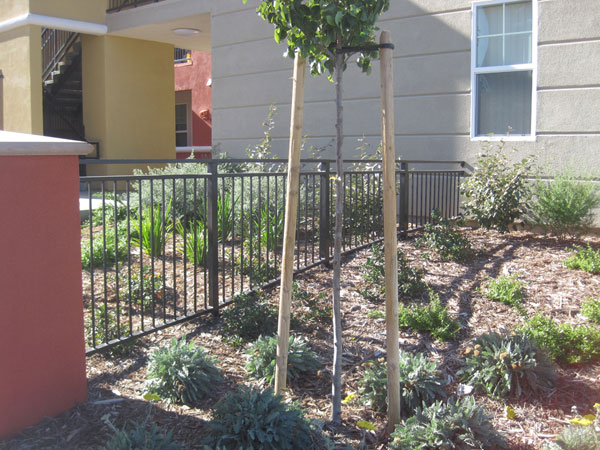 Commercial Wrought Iron Fence San Diego