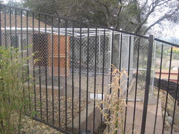Commercial Wrought Iron Fence San Diego