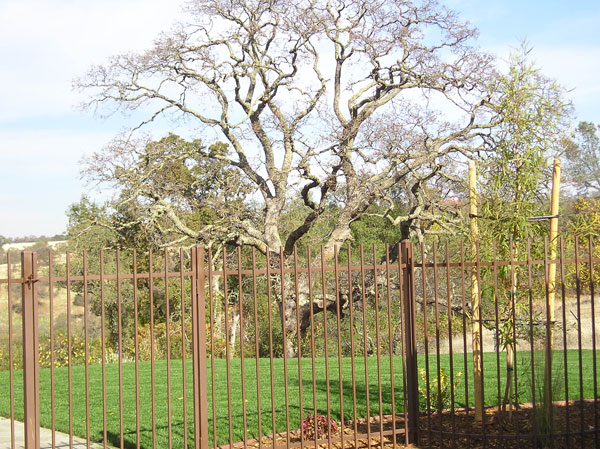 Wrought Iron Fence San Diego